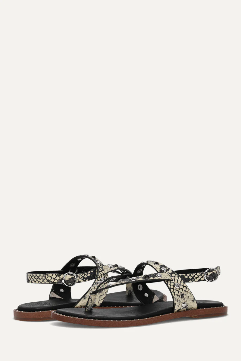 Bucky Studded Thong - Image 4
