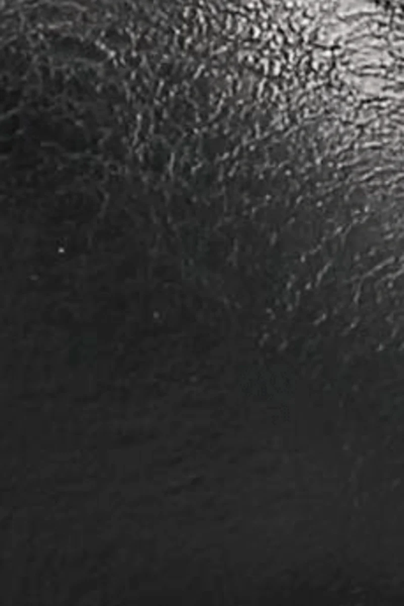 Chesnee Short - Image 9